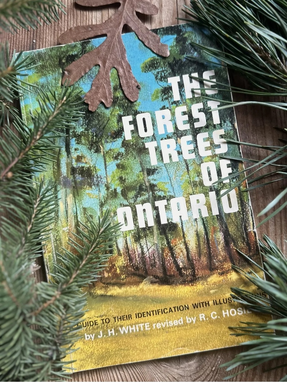 The Forest Trees of Ontario Vintage Softcover Book
